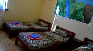 Гостиница Guest House Miry Mir Заозёрное Стандартный двухместный номер с 2 отдельными кроватями-29